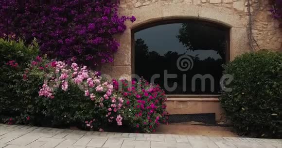紫丁香的西班牙房子视频的预览图