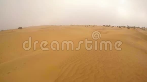 黑狗在沙丘上奔跑阴天沙漠TharRajasthan视频的预览图