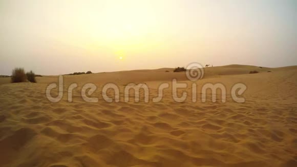 沙漠景观远望人引领骆驼沙丘日落视频的预览图