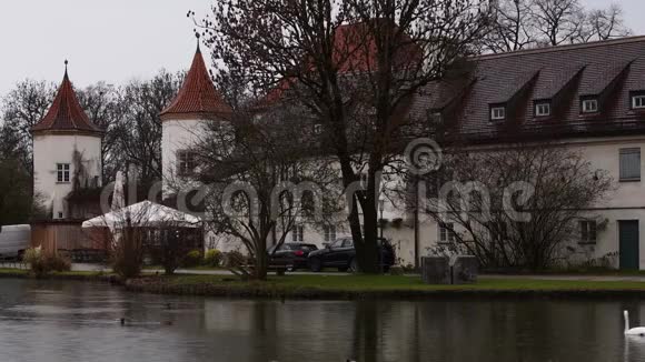 在一个多雨的秋日天鹅和鸭子正在德国慕尼黑布卢登堡城堡附近的一个湖里游泳视频的预览图