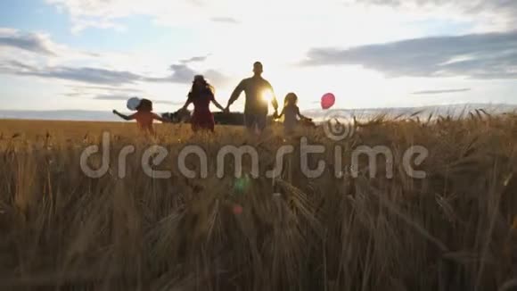 年轻的母亲和父亲孩子们互相牵着手在日落时在大麦草地上慢跑幸福家庭视频的预览图
