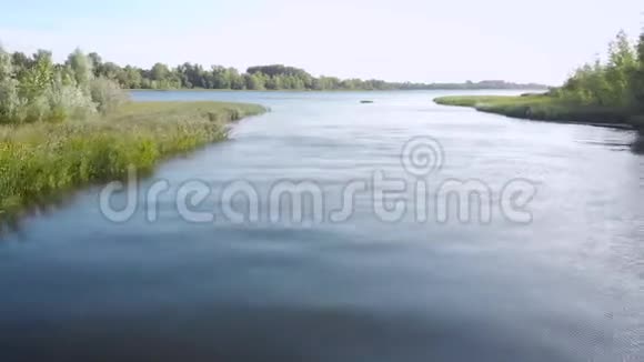 阳光明媚的夏日里风在平静的河流水面上低飞浅绿色的海岸视频的预览图