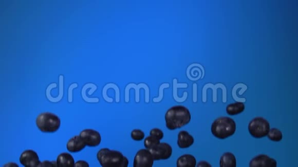蓝色背景下的大蓝莓视频的预览图