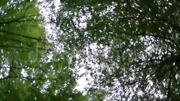 天空与树木在360旋转效果自然背景视频与迷幻效果视频的预览图