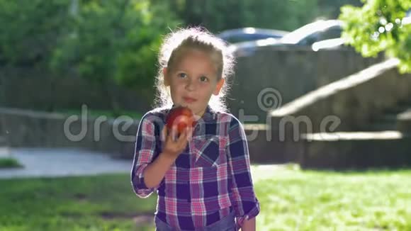 快乐的金发小女孩咬和有趣的咀嚼成熟多汁的苹果背光孩子穿着衬衫看相机和微笑视频的预览图