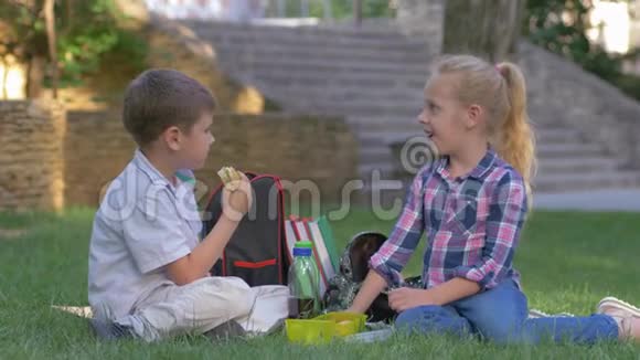 学生们在课间午餐时聊天手里拿着三明治坐在校园的草地上视频的预览图