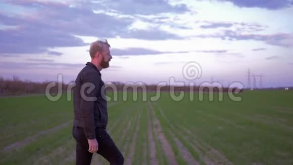 农业农夫越过绿色的田野看着发芽的谷物视频的预览图