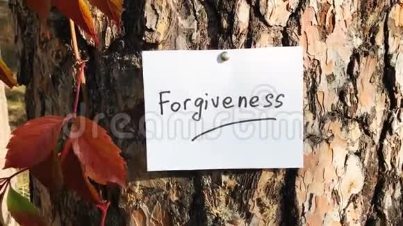宽恕之词以自然基督教和关系为题的卡片视频的预览图