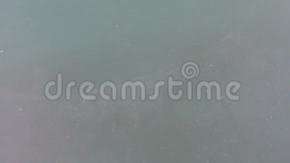湖面上的景色和水面上的雾4k视频的预览图