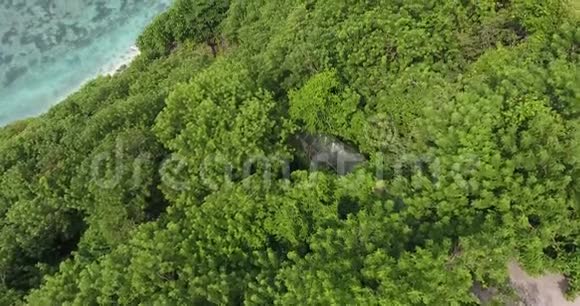 巴厘岛海岸附近树木中的玻璃走廊空中拍摄4k视频的预览图