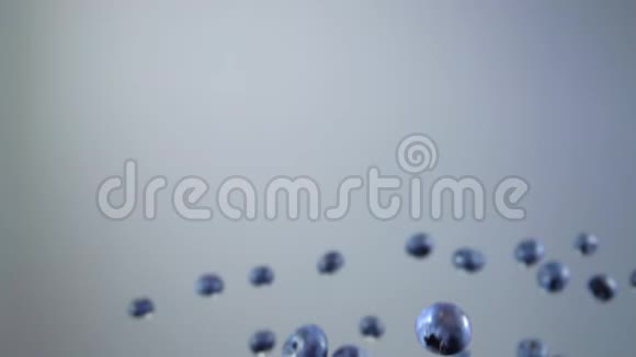 蓝莓在灰色背景上跳跃和飞翔视频的预览图