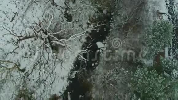 冬季河流和树木NI县视频的预览图
