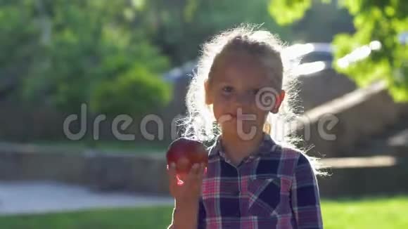 小孩在背光下咬苹果小女孩穿着衬衫嚼着多汁的成熟水果看着大自然的镜头视频的预览图