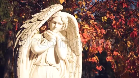 天使雕像就在附近视频的预览图