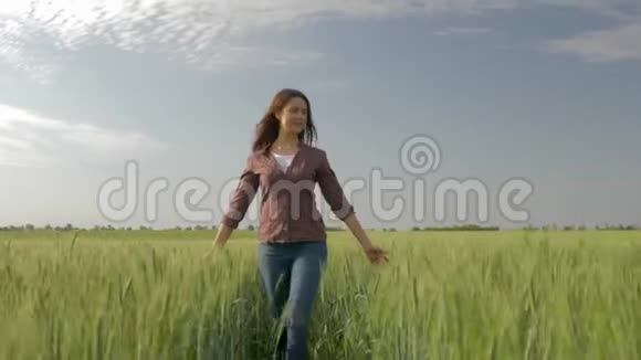 快乐的农民女孩走过大麦田在天空的背景触摸绿色的植物风吹动她的头发视频的预览图