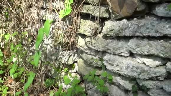 森林里的老石头福斯特房子视频的预览图