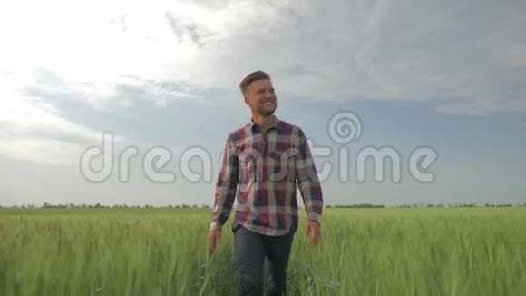 微笑的农夫挥动着他的手在蓝天的背景下穿过大麦田时显示出一个批准标志视频的预览图