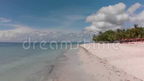 空中电影无人机拍摄的白色空沙滩与纸浆树视频的预览图