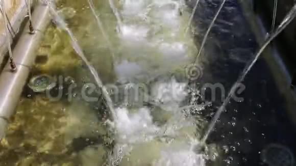 全景垂直喷水在城市喷泉景观生态视频的预览图
