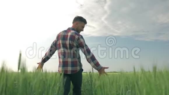年轻人在田野散步时看着大麦草享受着新鲜的空气和大自然的美丽视频的预览图