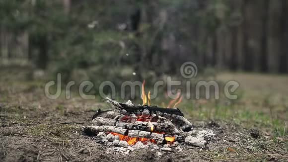 火炭准备好烧烤了视频的预览图