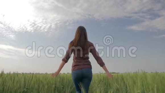农村的风景穿着格子衬衫的农民女孩走在大麦田里用她的手在背景上触摸植物视频的预览图