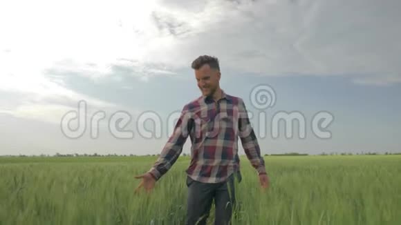 快乐的农夫走过一片大麦地在蓝天和乡村的背景下触摸绿色植物的顶端视频的预览图