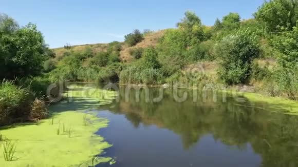 俄罗斯野生动物夏天的一条小河在山丘和草地之间视频的预览图