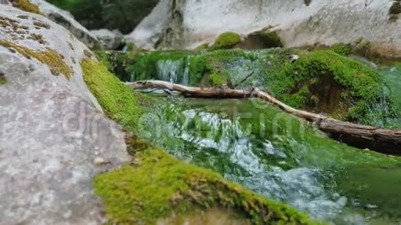 一条长满青苔的山河床上纯净的清水视频的预览图