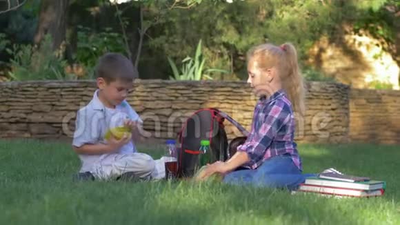 午餐时间饥饿的孩子们很快地从食物容器里拿出三明治坐在草坪上吃东西视频的预览图