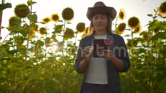 农民妇女在田间使用现代技术一个戴着帽子的人在日落时分抱着一个视频的预览图