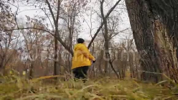 在秋天的森林里做北欧行走的高级妇女在秋天的小径上进行北欧步行比赛退休人士健康视频的预览图