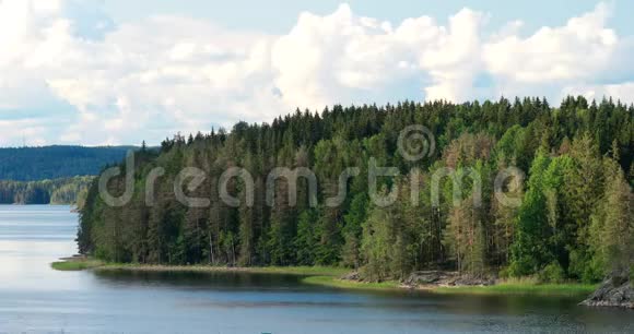 瑞典性质夏天的湖泊或河流在美丽的夏天阳光明媚的一天云影在松树上移动视频的预览图