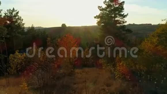 空中无人机镜头秋天从森林里飞到太阳站农场视频的预览图