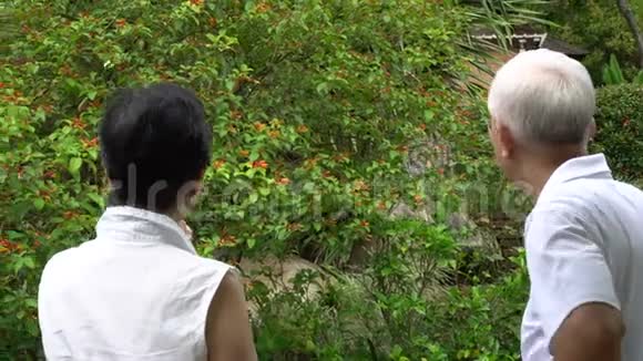 一对亚洲老夫妇一起看花圃里的蝴蝶视频的预览图