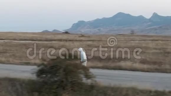 黎明时分在山上慢跑一个穿短裤的人在柏油路上奔跑背景是山海和视频的预览图