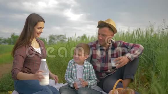家庭休闲可爱的女人带着男人和男孩在绿色草地上的家庭野餐时在眼镜里倒牛奶视频的预览图