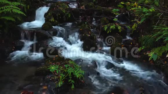 秋季奥拉西峡瀑布景观视频的预览图