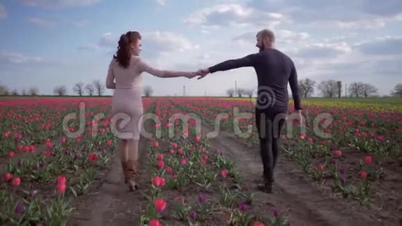 浪漫的散步幸福的男女牵着手走在盛开的郁金香的花丛上迎着清澈的阳光视频的预览图
