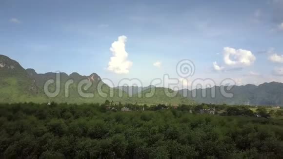 田野里的树林和植物映衬着画报的天空视频的预览图