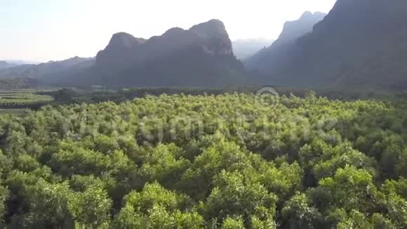 空中飞行在山谷中的树木与山脉之间视频的预览图