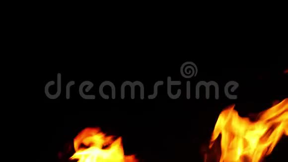 在黑色背景下的营火燃烧视频的预览图