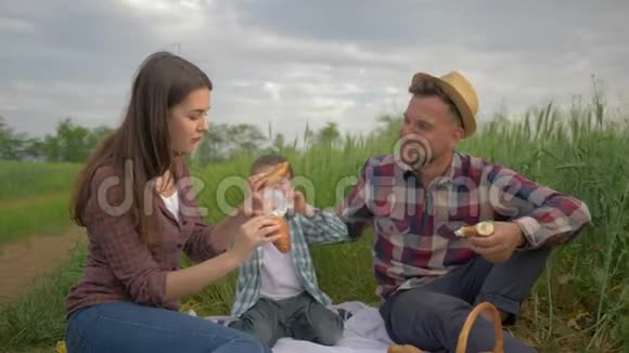 美丽快乐的女人在绿茵场的露天野餐中一边与孩子一起放松一边喂饱男人视频的预览图