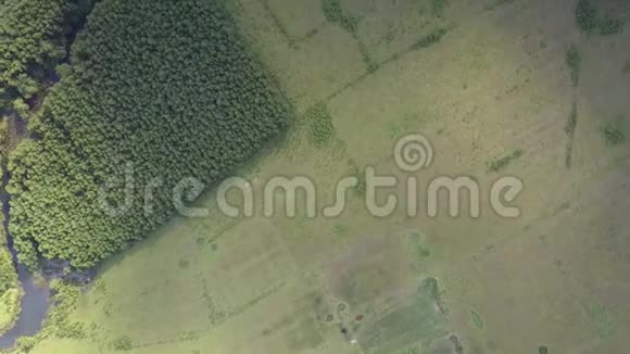镜头从森林和河流的图案农田上方升起视频的预览图