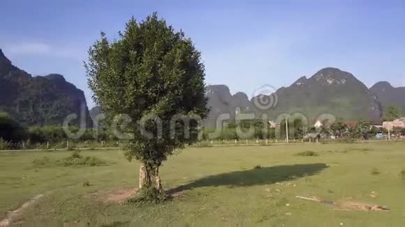 开阔视野的小农场上的树木景观视频的预览图