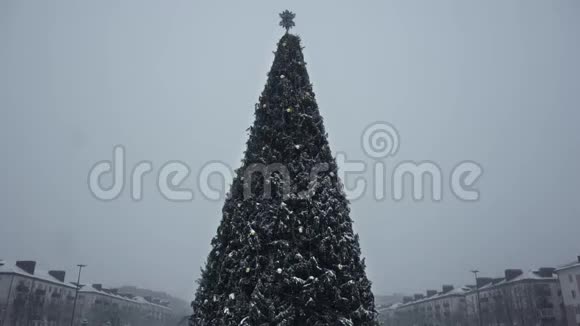 圣诞树在午后降雪和暴风雪中在城里过除夕冬天开始的概念视频的预览图