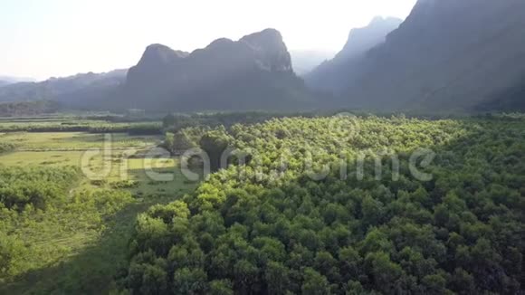 苍翠的草地上的野林与古老的山峦交相辉映视频的预览图