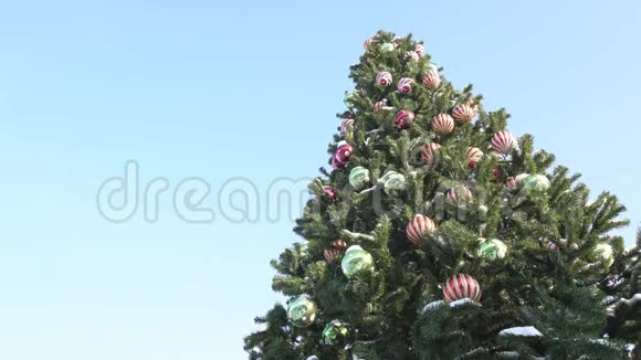蓝天背景上美丽的装饰圣诞树地点为文本新年圣诞节复印空间视频的预览图