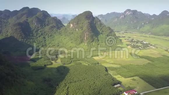 带森林和田野的山谷空中全景视频的预览图