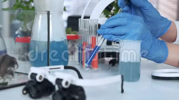 实验手套中科学家手的特写用移液管在试管中混合化合物视频的预览图